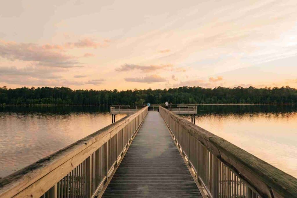 Coleman Lake Campground in Midville GA