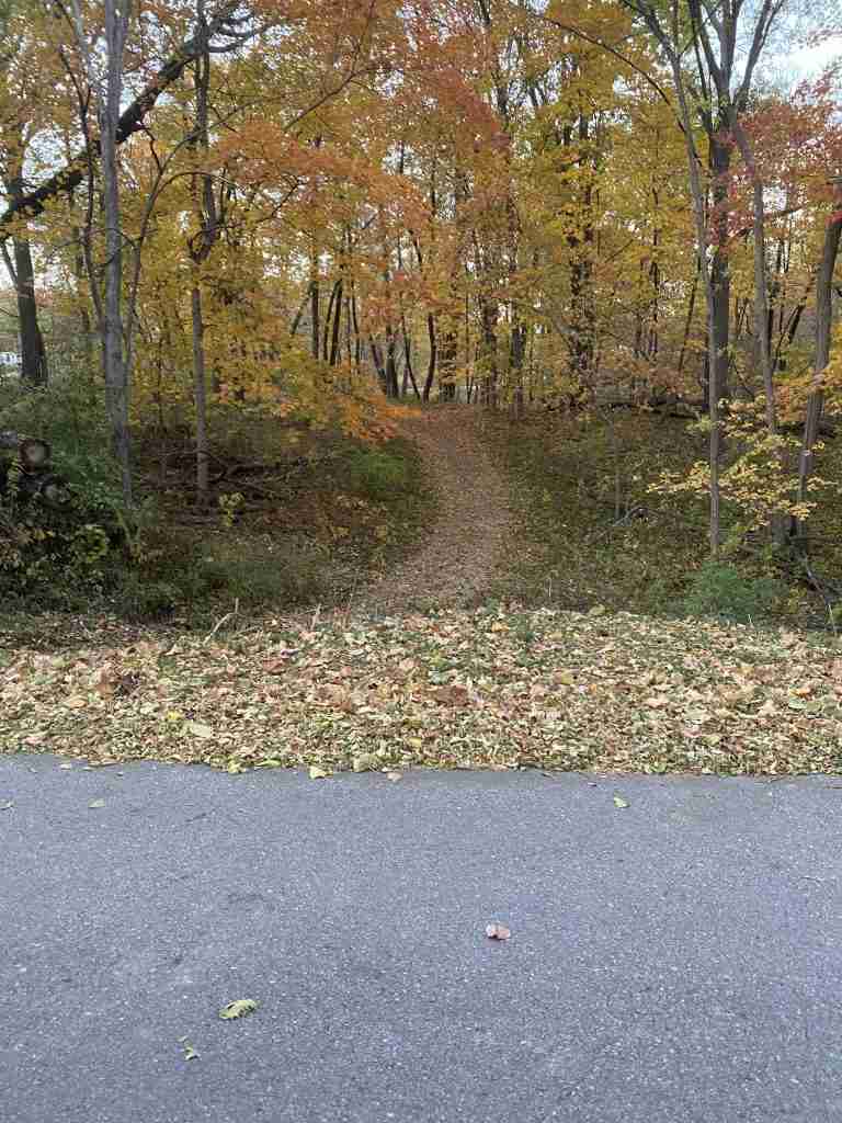 Area Hiking