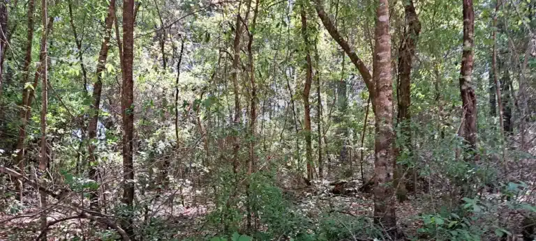 Area Hiking